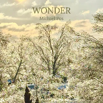 Wonder Cover Art by Michael Pos